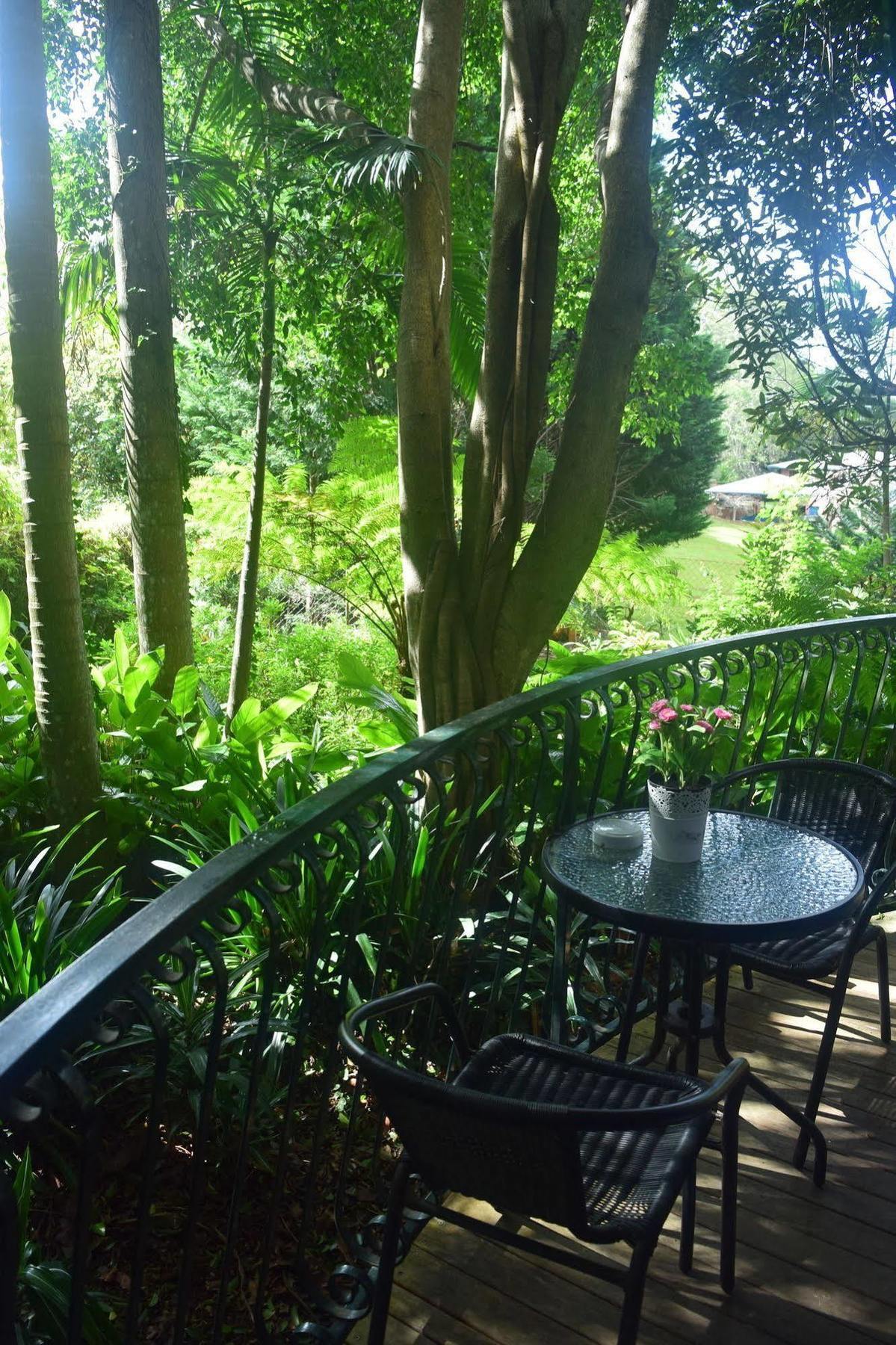 Chalet On Gallery Walk - King Bed, Spa, Fireplace, Wifi & Netflix, Linger A While Mount Tamborine Esterno foto