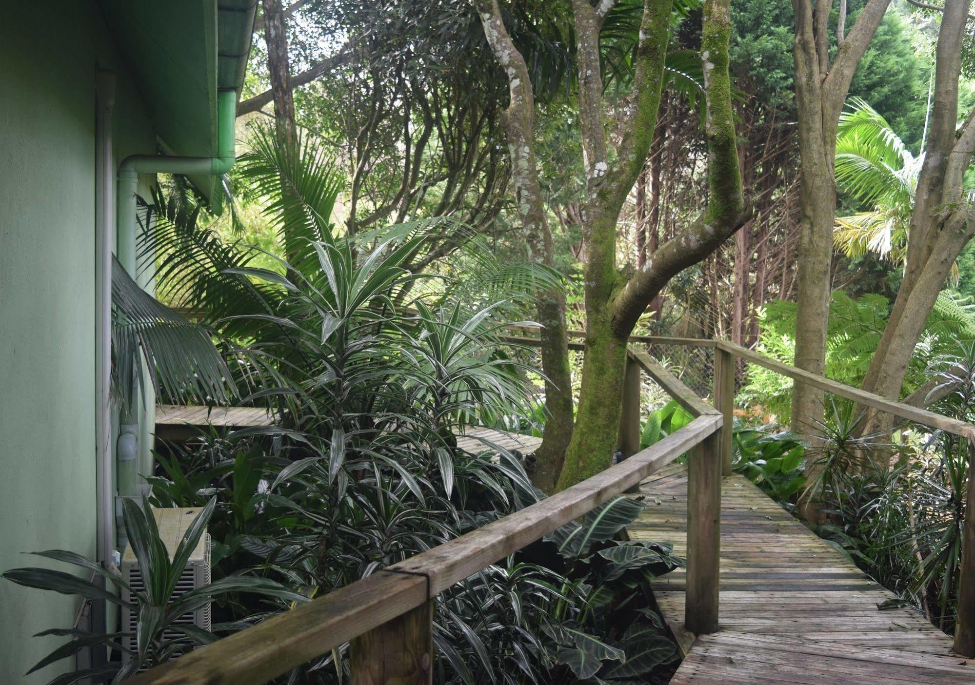 Chalet On Gallery Walk - King Bed, Spa, Fireplace, Wifi & Netflix, Linger A While Mount Tamborine Esterno foto